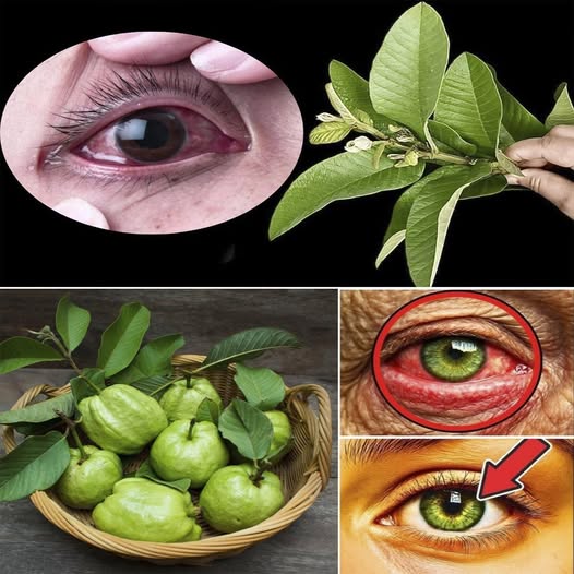 Remedios Naturales para la Salud Ocular