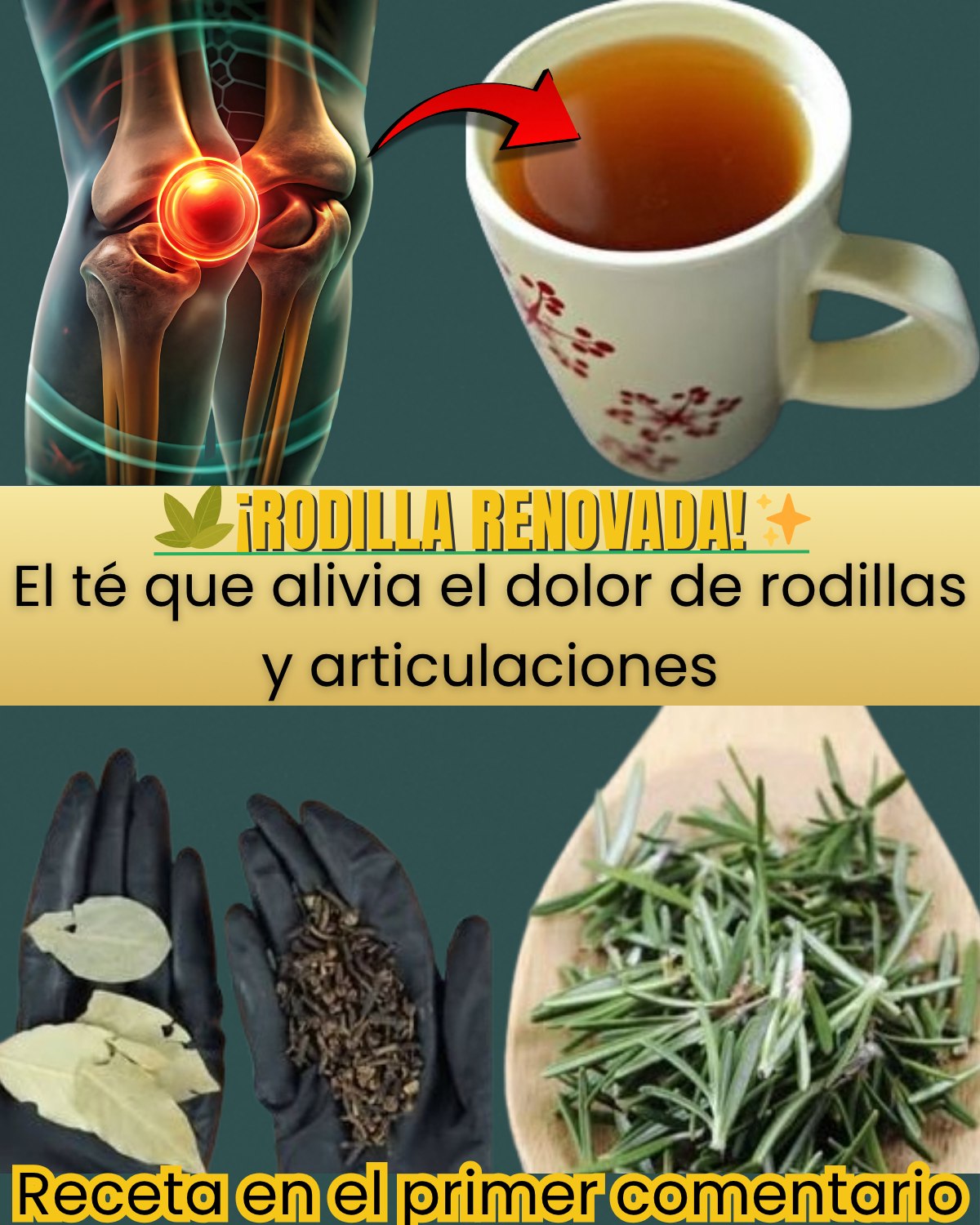 Infusión de Laurel y Romero