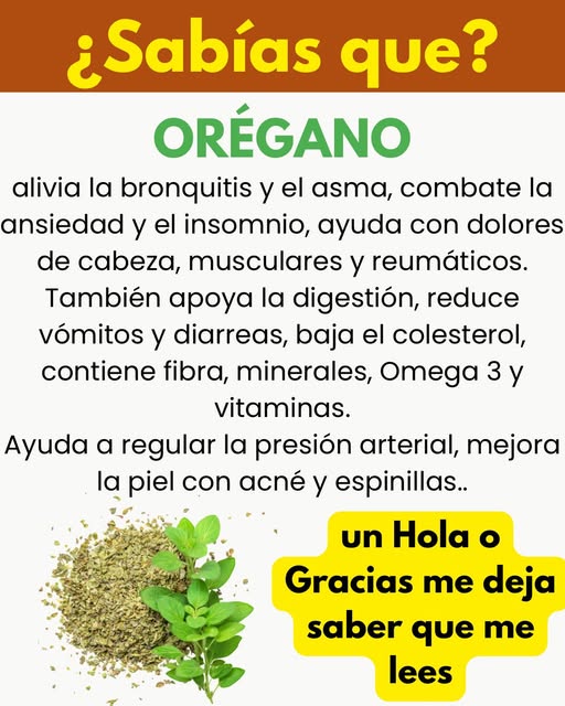Hojas de orégano