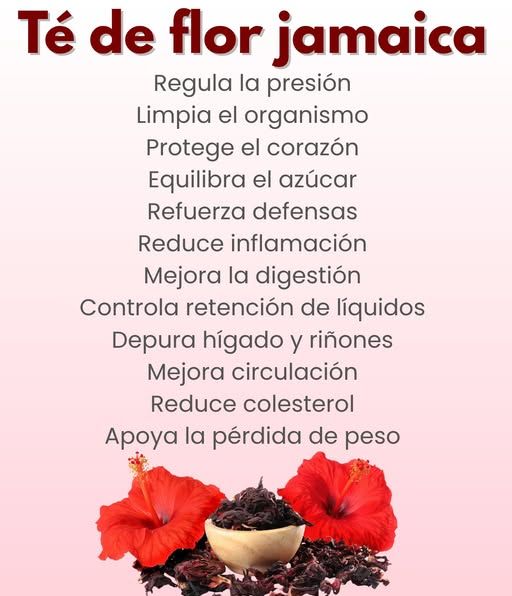 Té de flor de Jamaica
