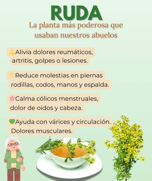 Ruda