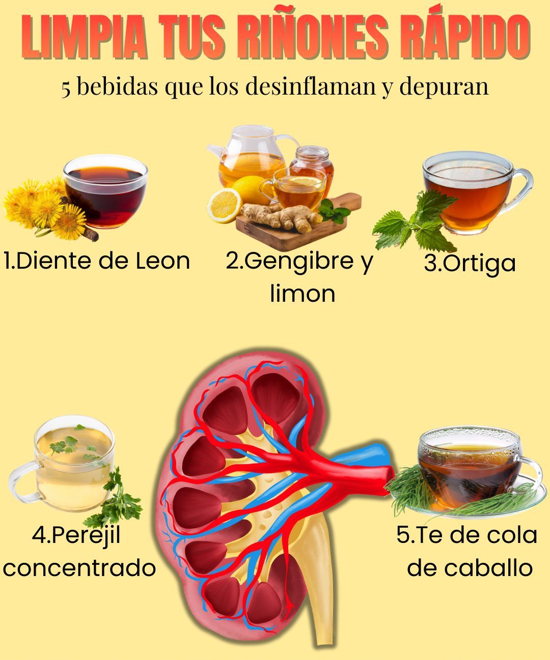 Infusiones para limpiar riñones