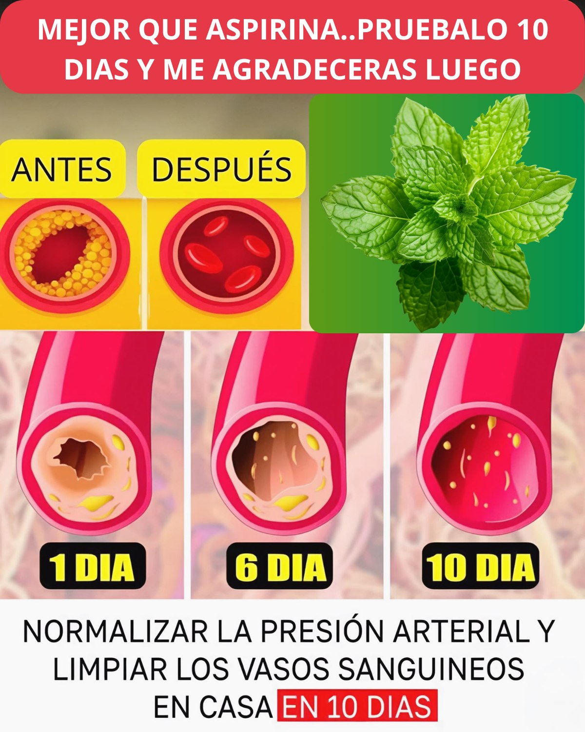 Estado de un vaso sanguíneo obstruido y limpio