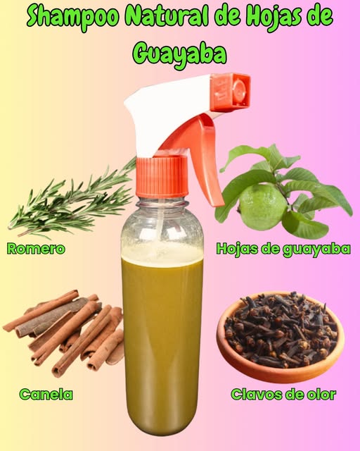 Shampoo Natural de Hojas de Guayaba
