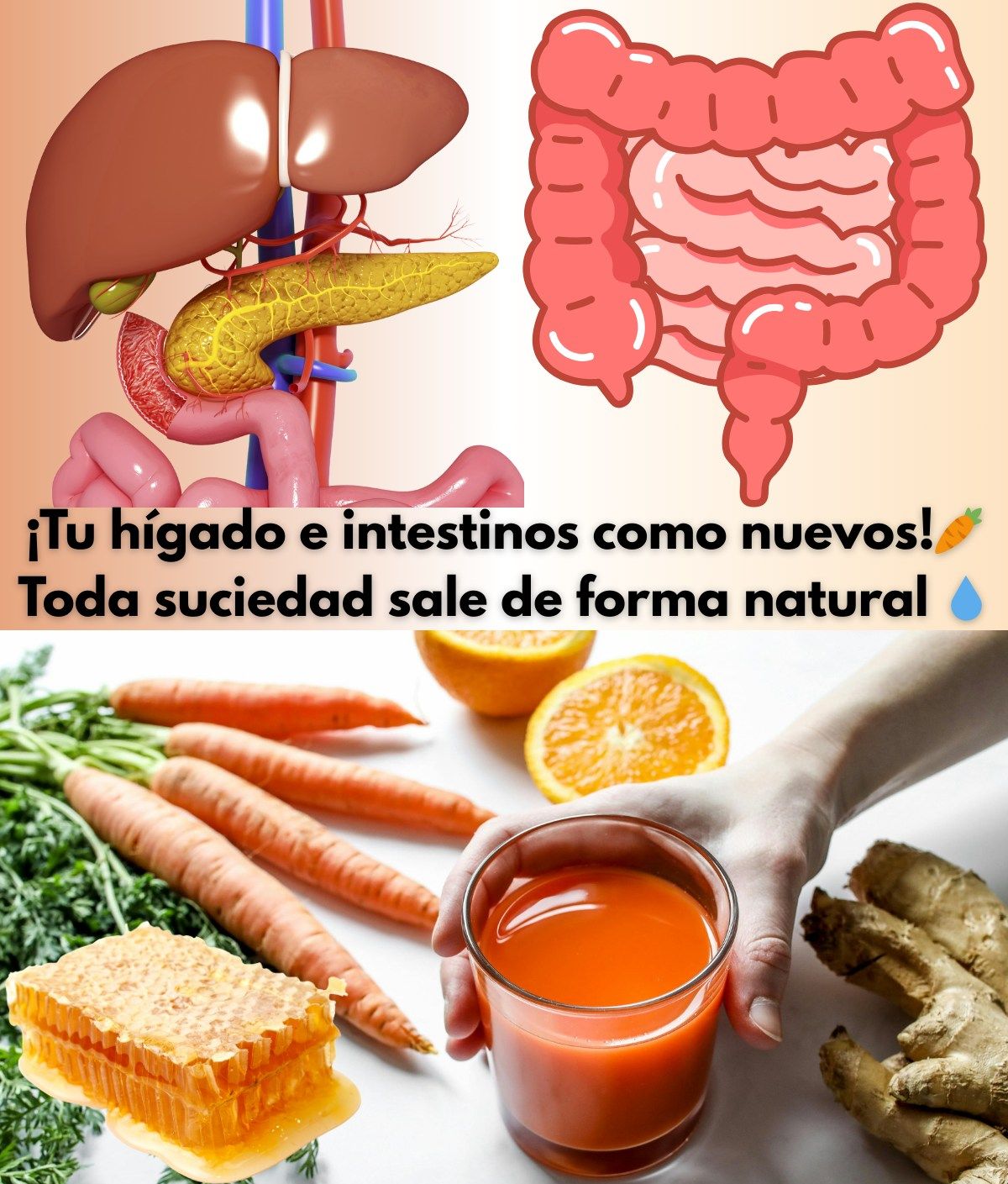 Jugo de zanahoria con jengibre y naranja
