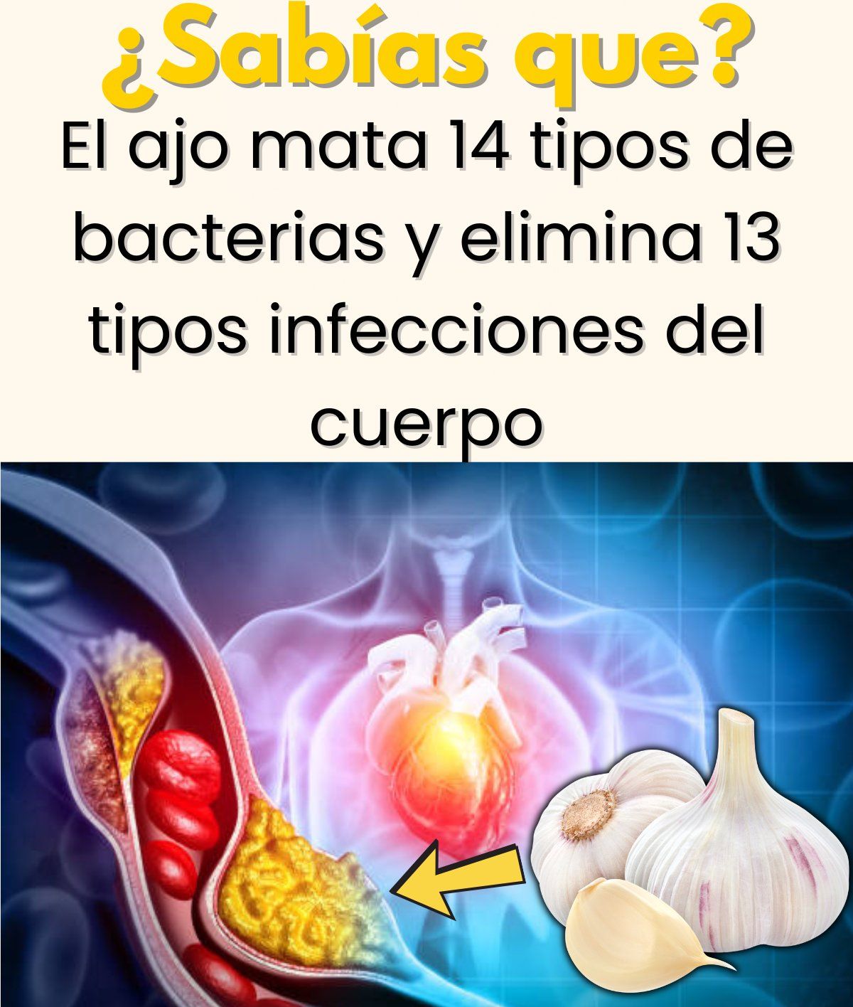 Beneficios del ajo en la salud cardiovascular