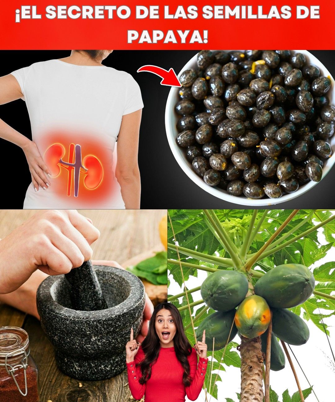 Semillas de papaya en un tazón