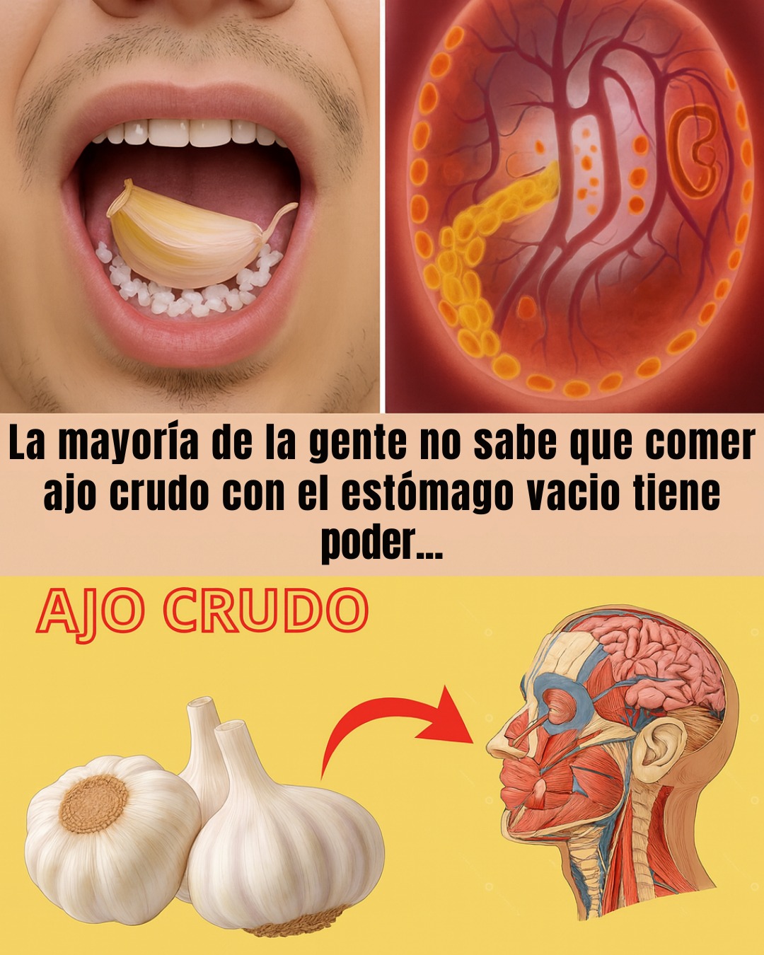Beneficios del Ajo en Ayunas