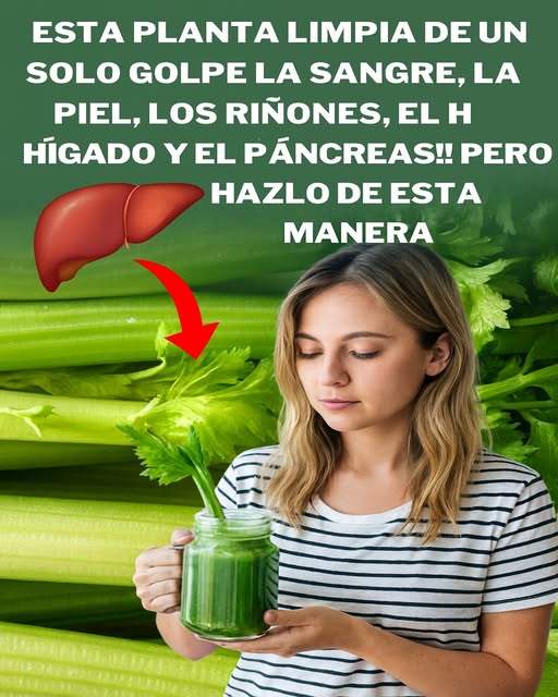 Jugo de apio